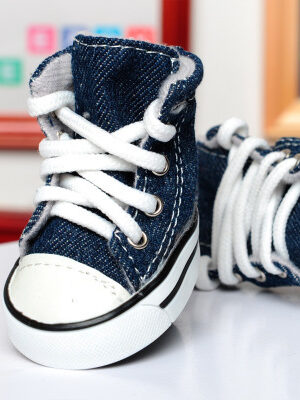 Dog Sneakers