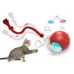 Interactive Rolling Ball