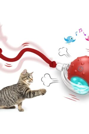 Interactive Rolling Ball